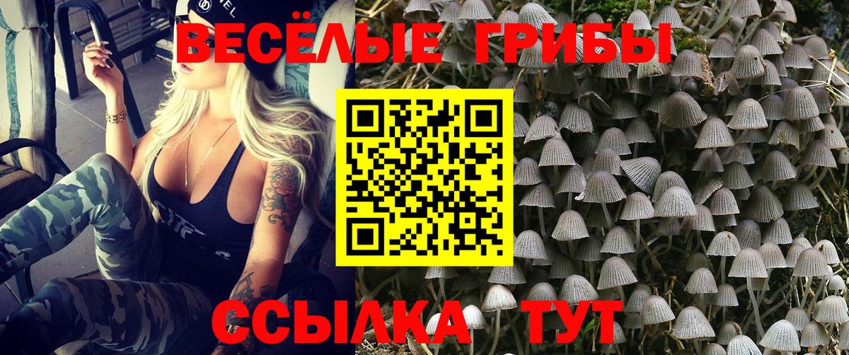 Галлюциногенные грибы MAGIC MUSHROOMS  Вход с VPN  Самара  купить наркотик  Галлюциногенные грибы Cubensis 